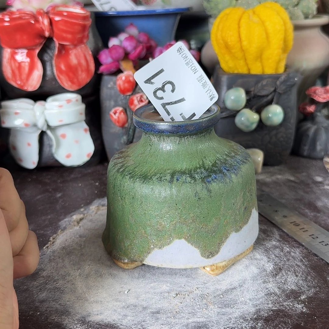 重庆小燕子欢迎大家731
