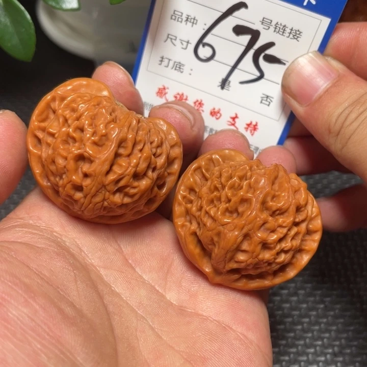 核桃其他狮子头的