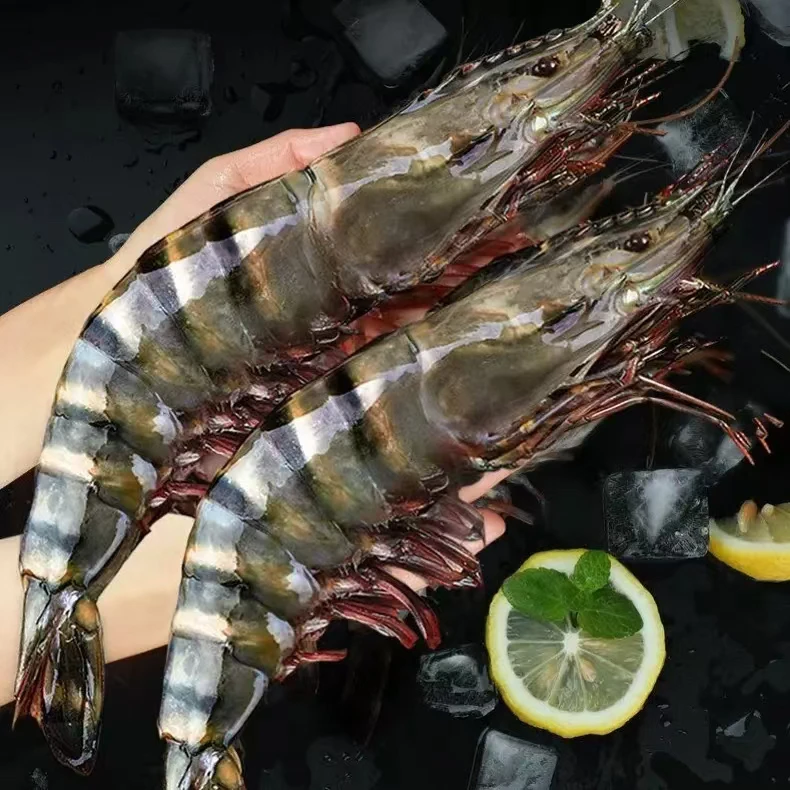 【一斤8-10只特大号】1620野生特大黑虎虾顺丰冷链现捕现发