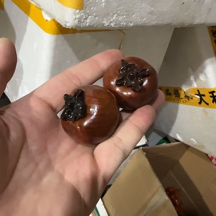 木花梨木4柿子一对