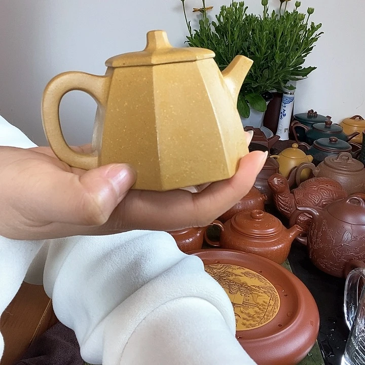 茶壶紫砂紫砂壶承紫砂茶宠