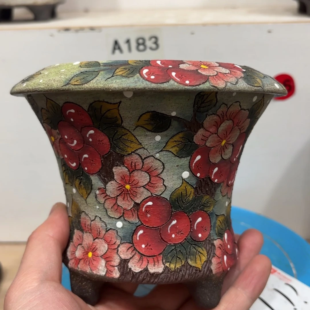 罐追*者，哈哈哈哈哈哈哈哈哈哈哈哈