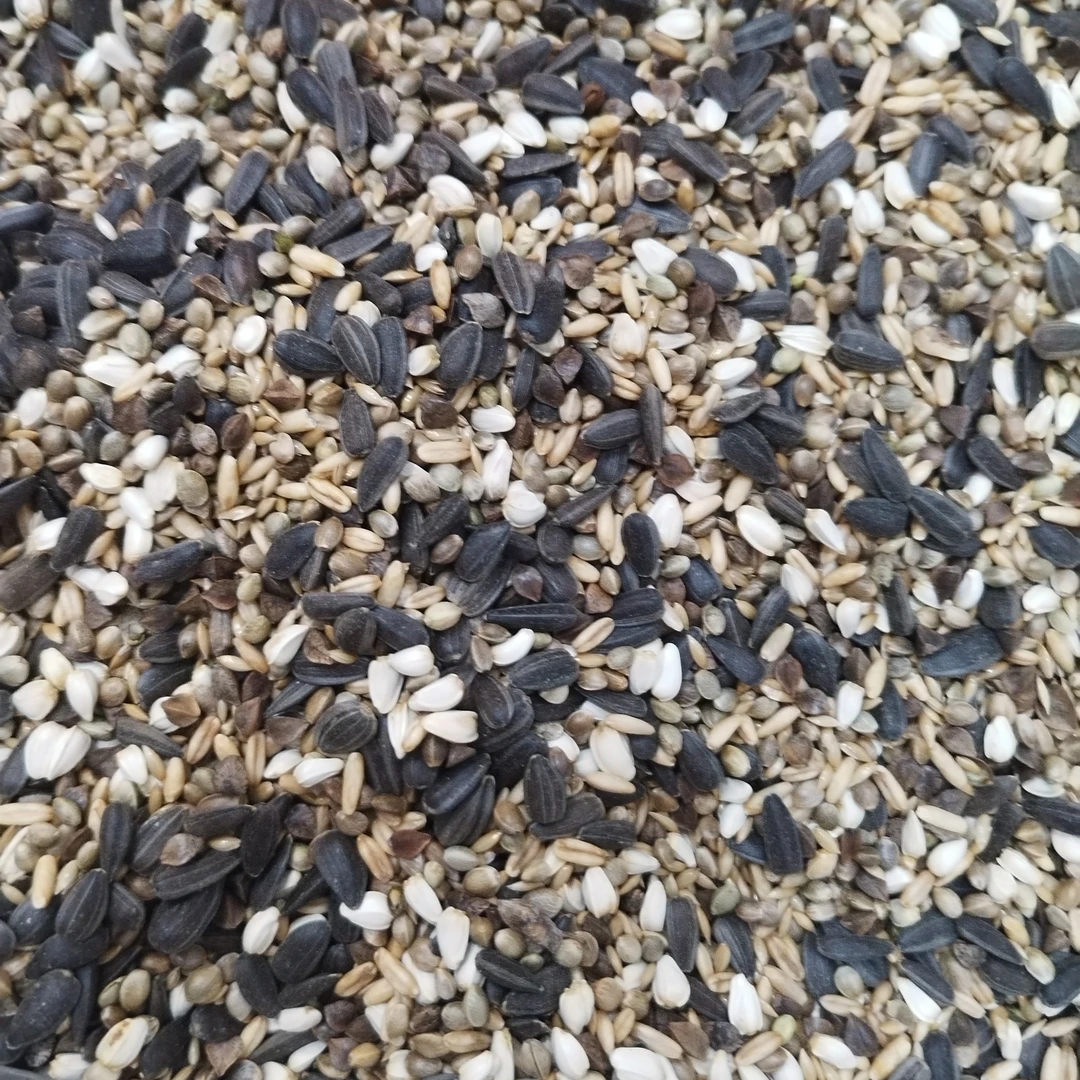 小太阳鹦鹉与和尚鹦鹉精细专用高级营养鹦鹉食粮饲料混合粮