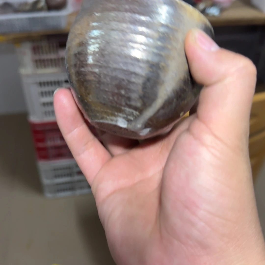 健***子拼配泥陶瓷茶具微瑕介意勿拍