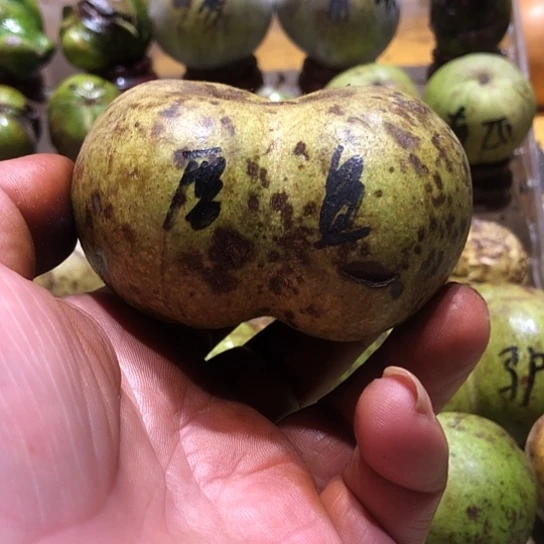 桃核吊坠核桃核桃