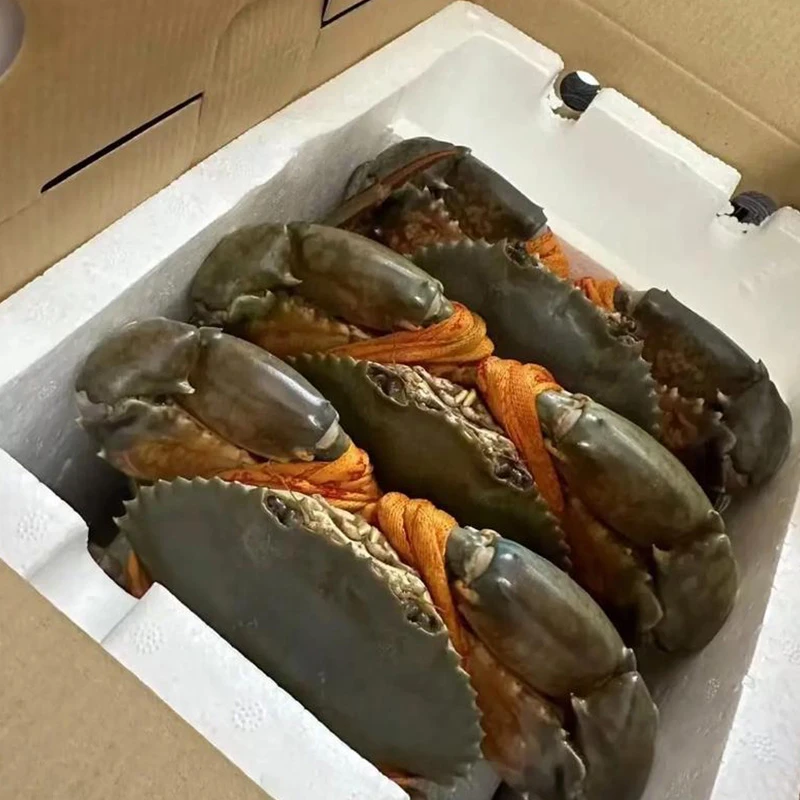 青蟹鲜活一整箱发货肉蟹膏蟹大红鲟公蟹母蟹螃蟹野生菜鲟商用送礼
