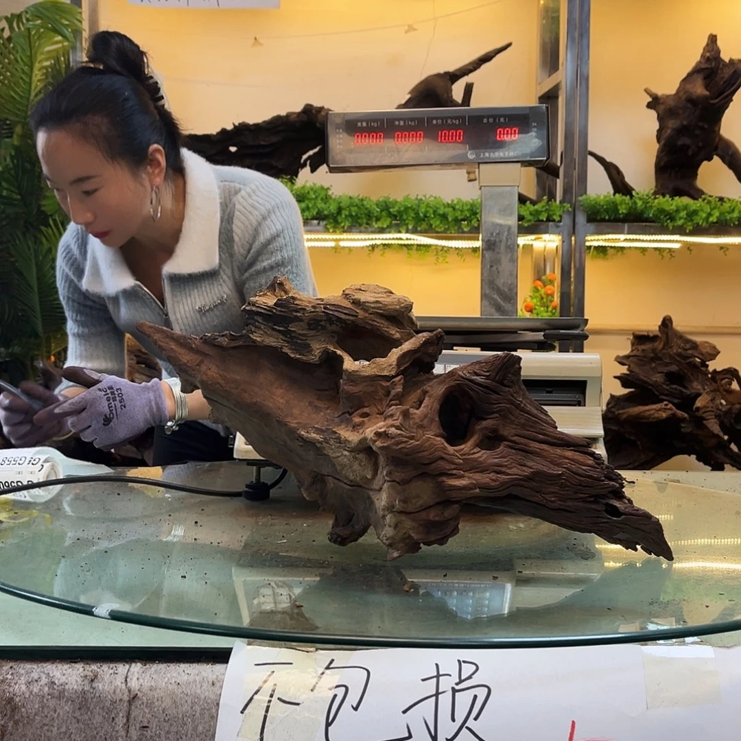 柚木沉木鱼缸造景