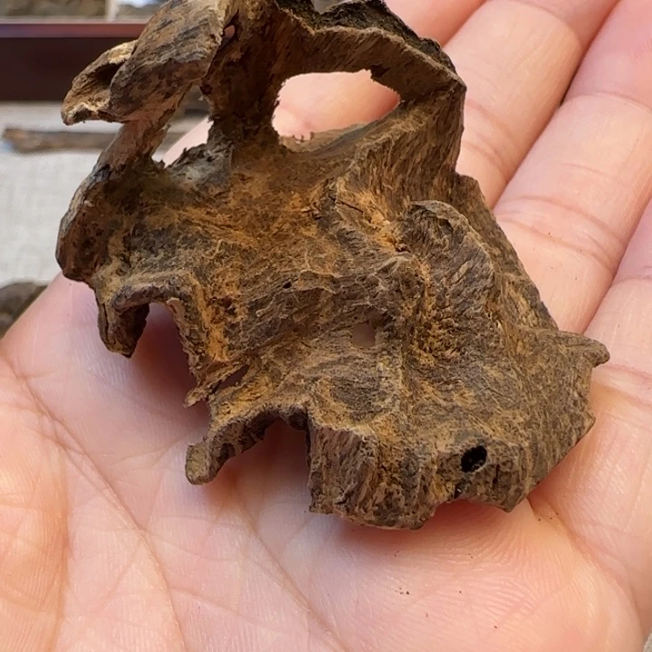 摆件沉香海南霸王岭包头5.2克