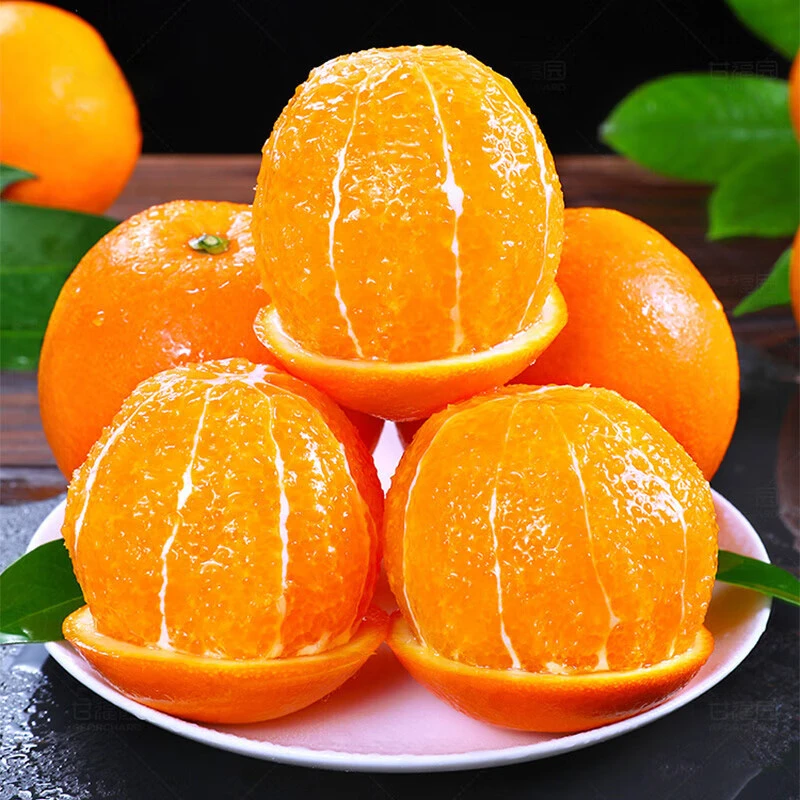 秭归脐橙 · 伦晚春橙5斤 基地直发 韵达快递