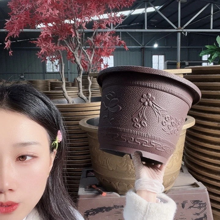 紫色梅花30花盆12个有孔