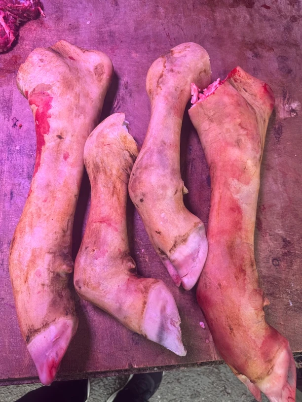 贵州本地小黄牛  新鲜牛脚