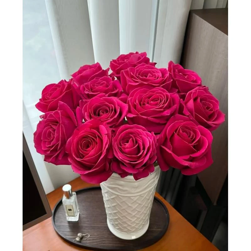 【弗洛伊德】 单头玫瑰   真花 鲜切花  一单顺丰发货