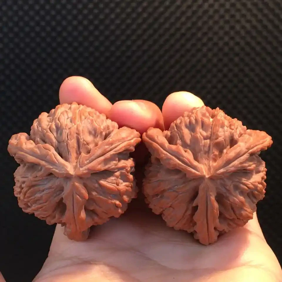 文玩核桃哈码头四座楼白狮子