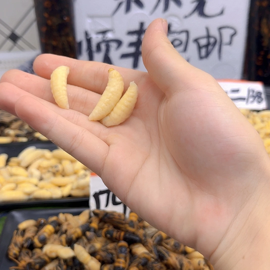 杨***龙180中国大陆虎头蜂一级两斤广东发货