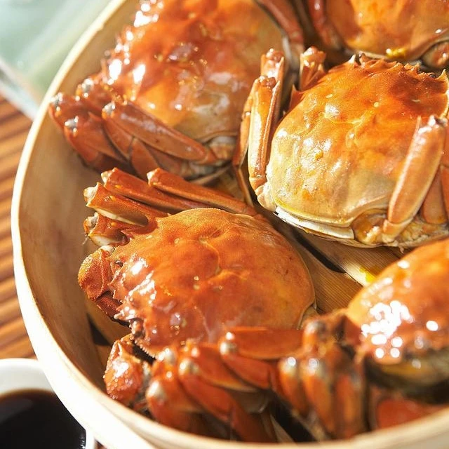 江苏全母活蟹2.8~3.1两全母 4/8/10只 青蟹顺丰冷链配送
