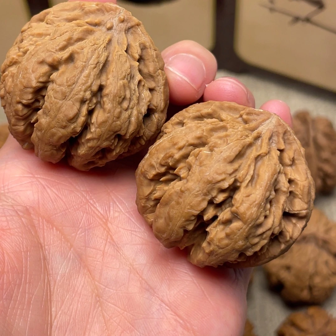 哒***声核桃秦岭核桃16号