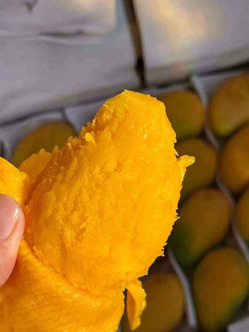 【顺丰包邮】小台农芒果皮薄肉厚核小