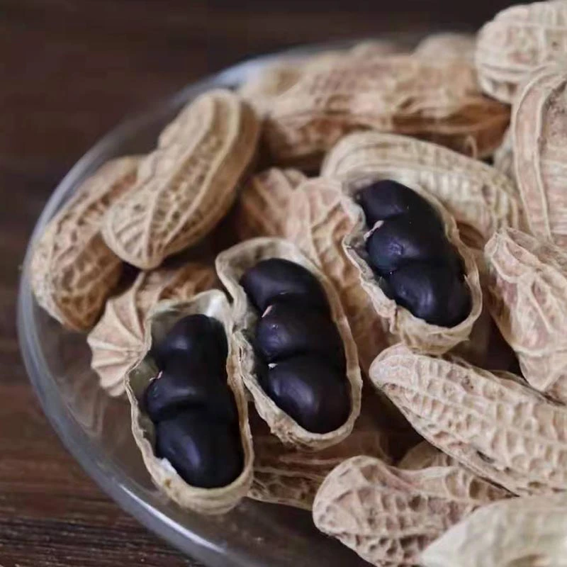 2025年新货信宜本地新鲜带壳黑皮花生