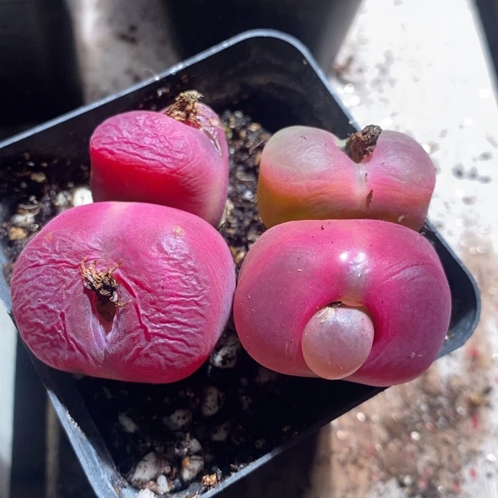 24157一组一组一组