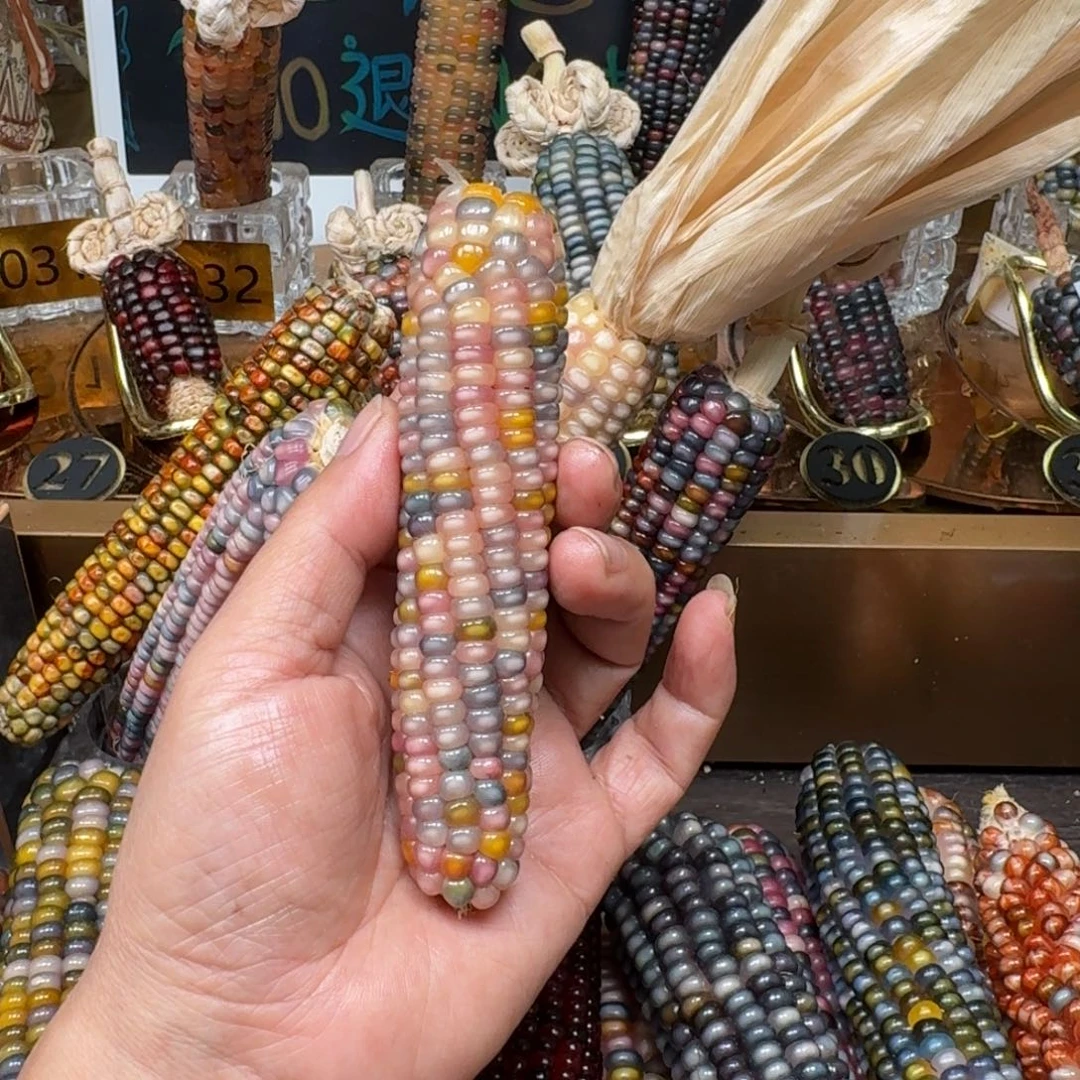 柏香籽/百香籽吊坠星****r