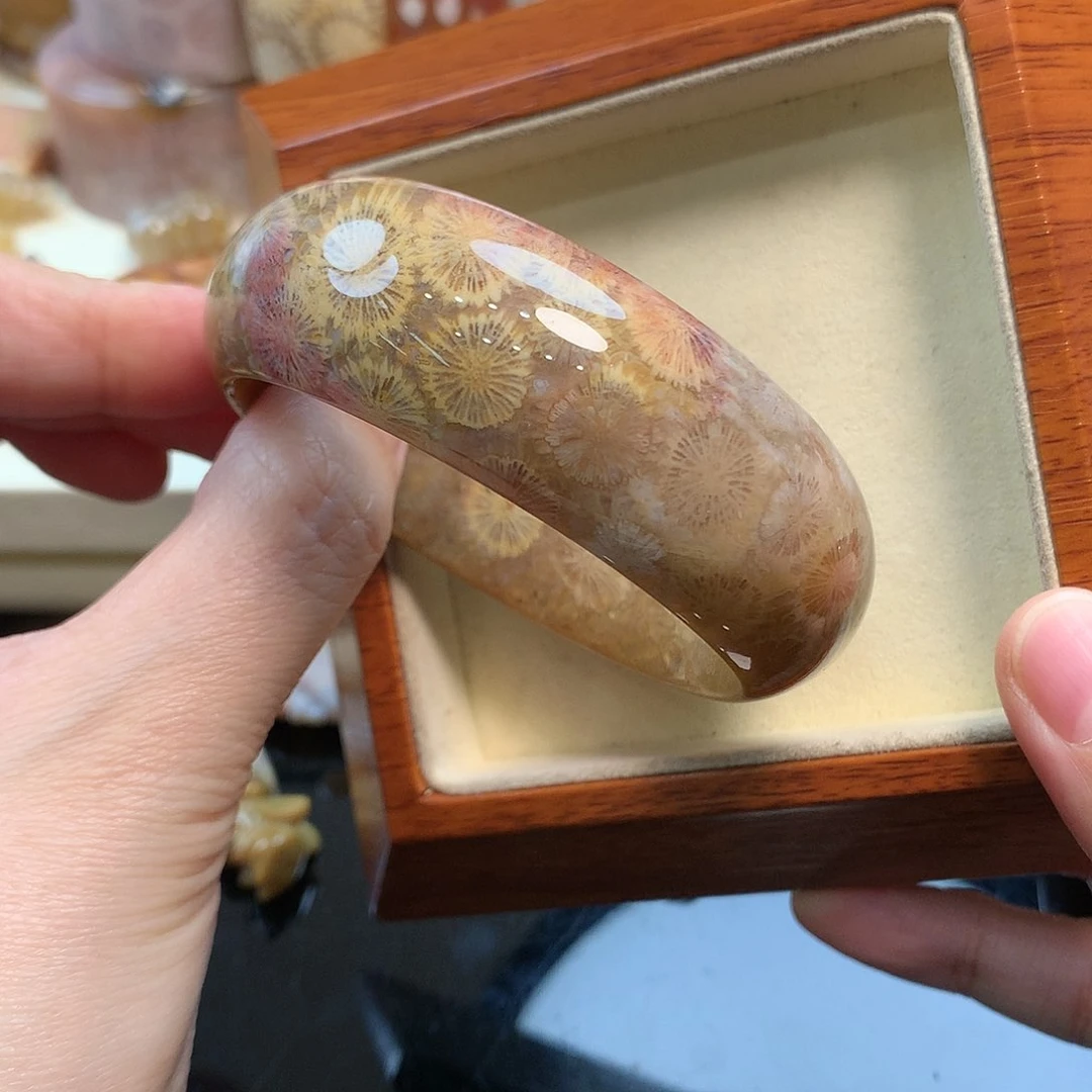 未镶嵌手镯硅化珊瑚（珊瑚玉）56.2口800