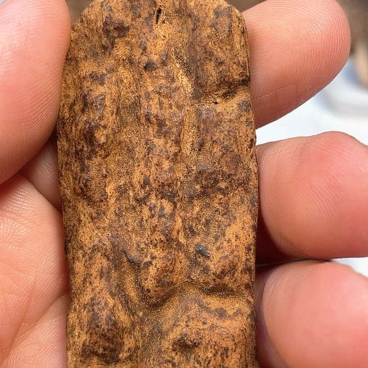 沉香碎屑沉香老惠红士 一片