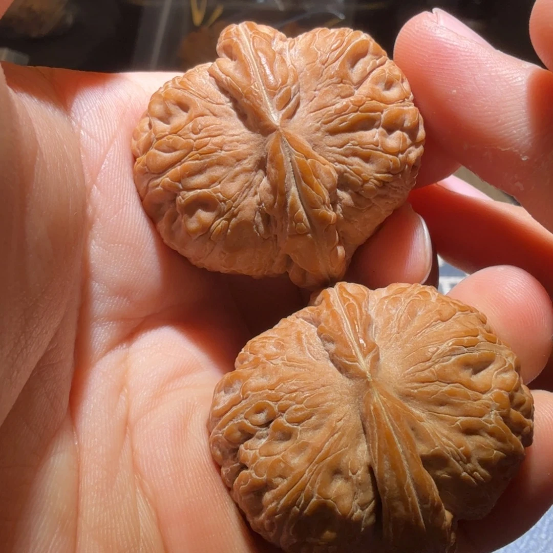 猴头核桃把件平谷元宝