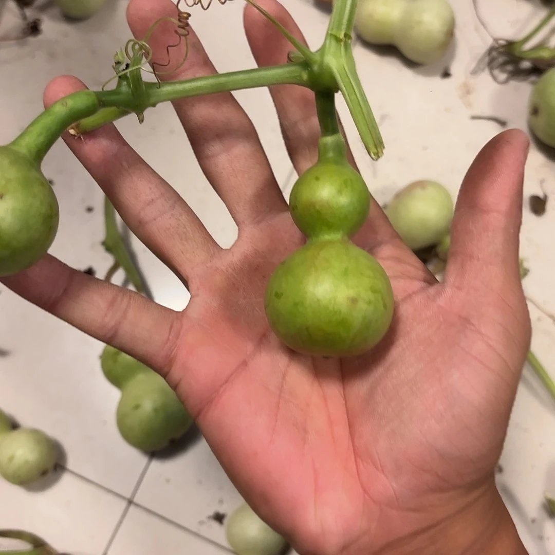 3***人葫芦111111111111111111