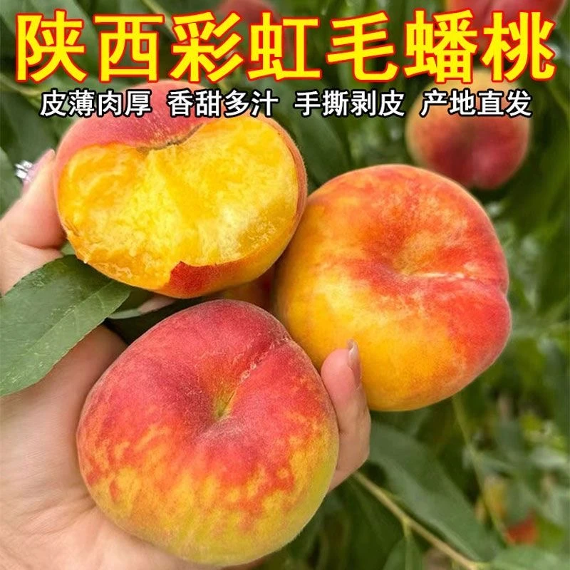 【陕西彩虹蟠桃】新鲜水果扁桃子应季现摘甜包邮