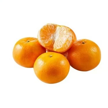 【东胜同城送】精品沃柑500～600g内蒙古自治区