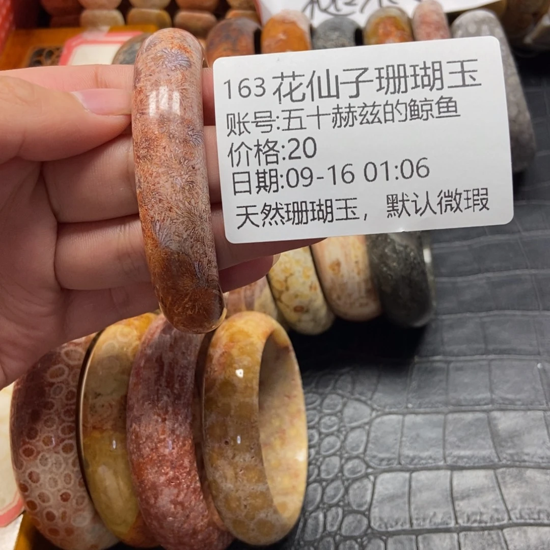 五***鱼未镶嵌硅化珊瑚（珊瑚玉）珠宝半成品163