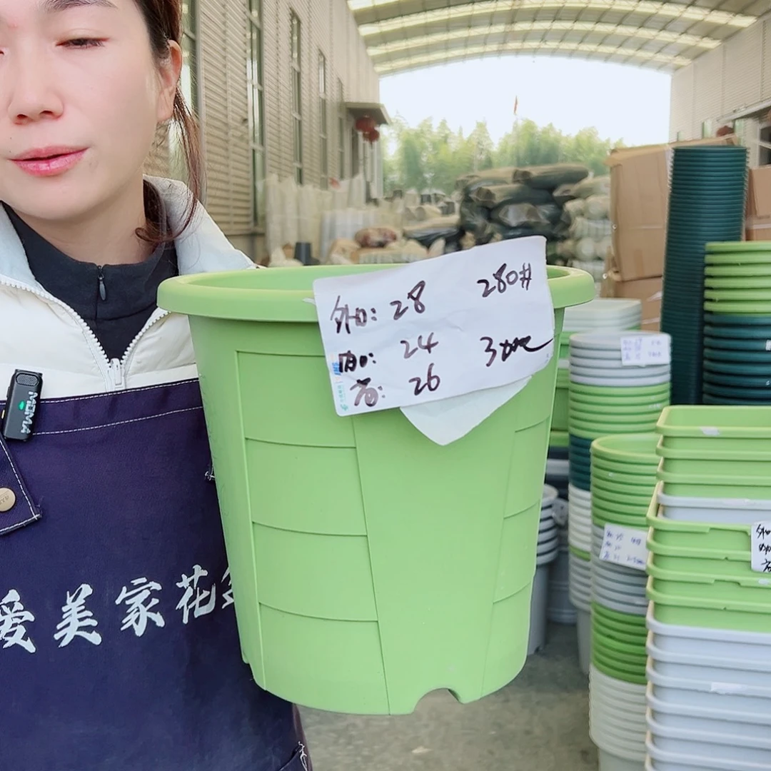 玫瑰盆280#果绿5个无托