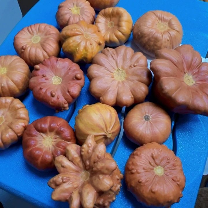葫芦中国大陆缘**作