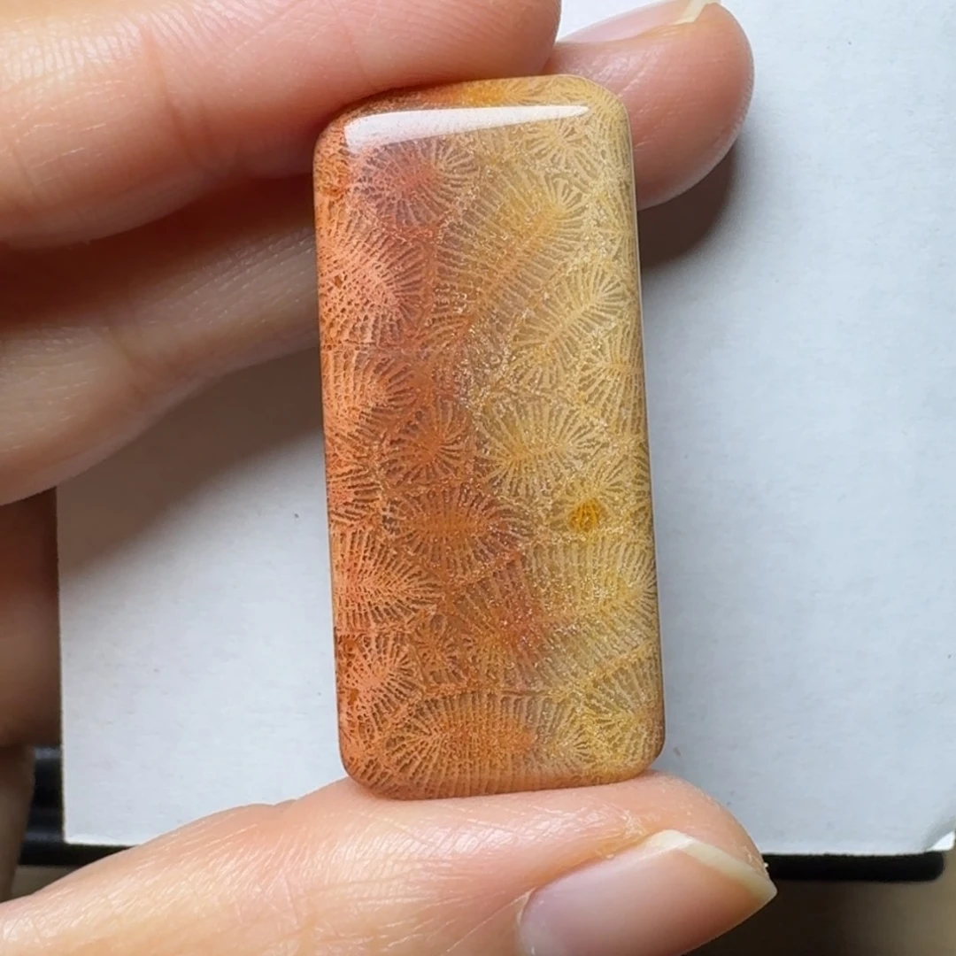 硅化玉红黄胖虫纹未镶嵌