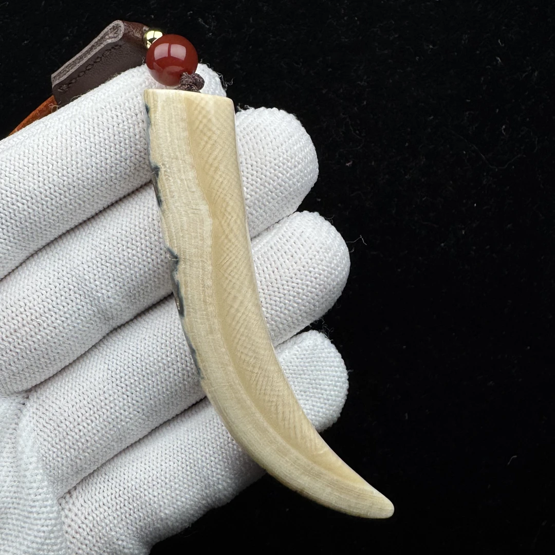 B1533天然猛犸牙 牙尖79.3mm支持鉴定 假一罚四
