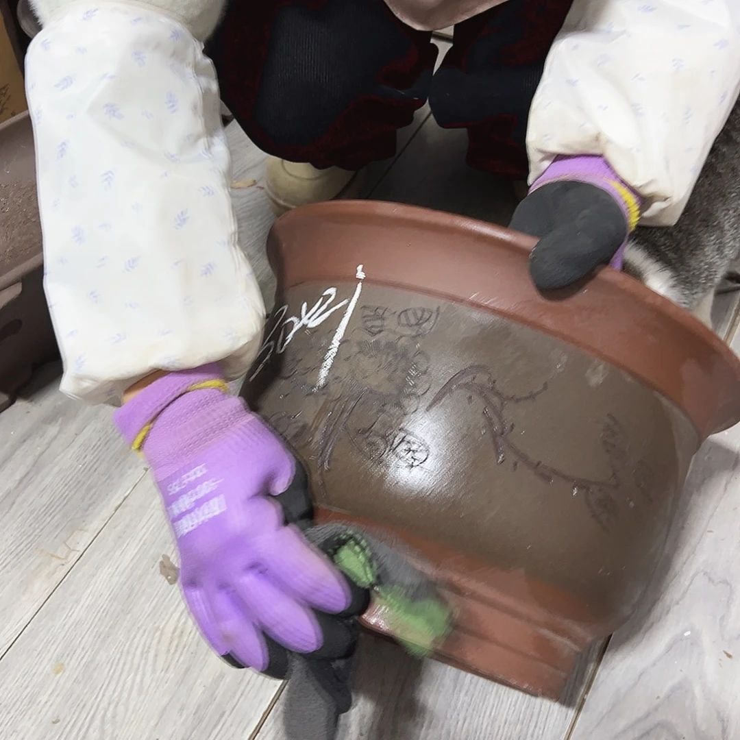 30灰发财花盆花盆花盆