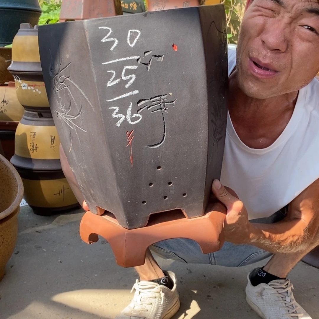 紫砂紫砂紫砂紫砂