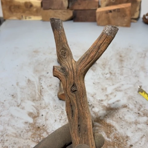 大果紫檀（缅甸花梨）張**！