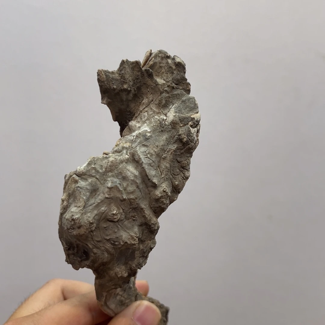 木今晚我要去看电影了