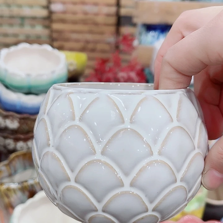 多肉花盆满10元包邮