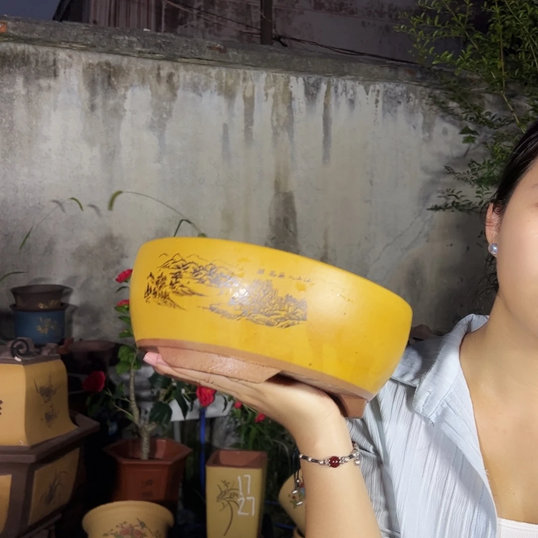 黄色江山如画小号一个