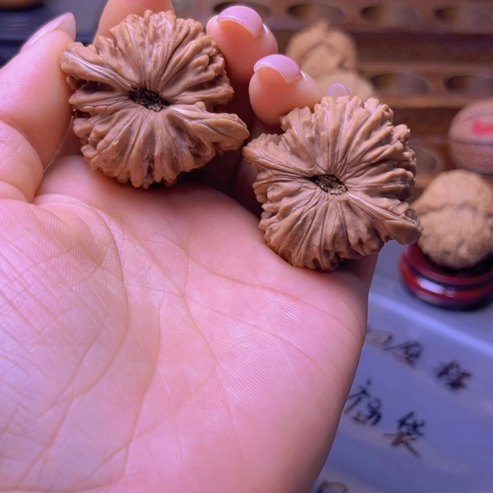 L*核桃专用链接，福利四座楼不退换