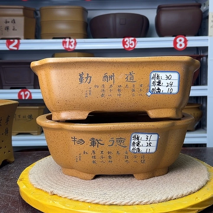 花盆紫砂蛇年大吉