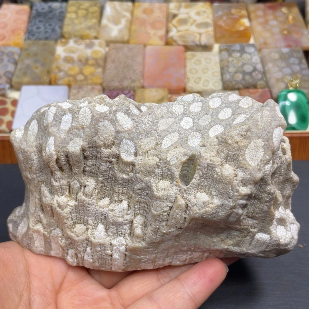 硅化玉未镶嵌颈饰k51