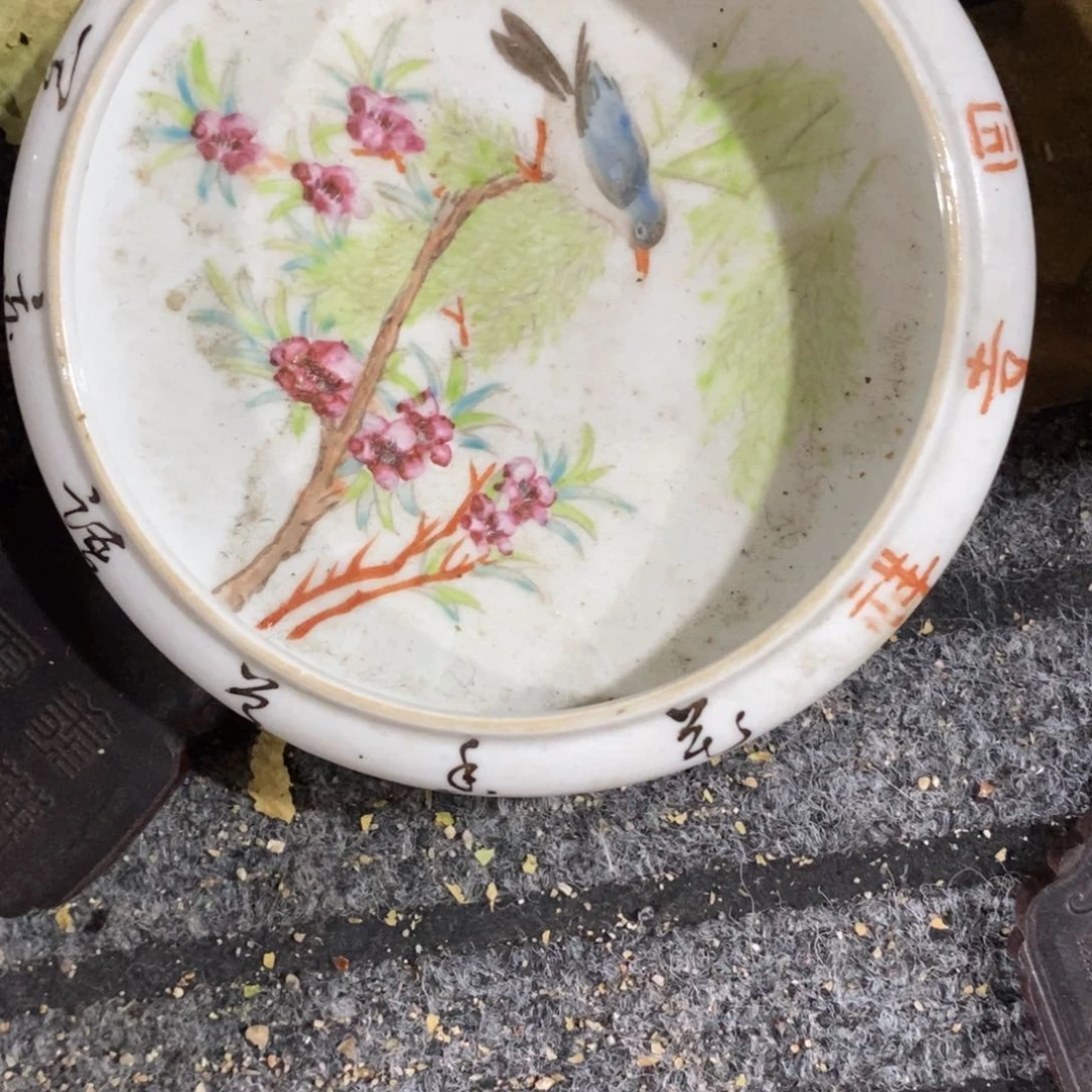瓷片海*王
