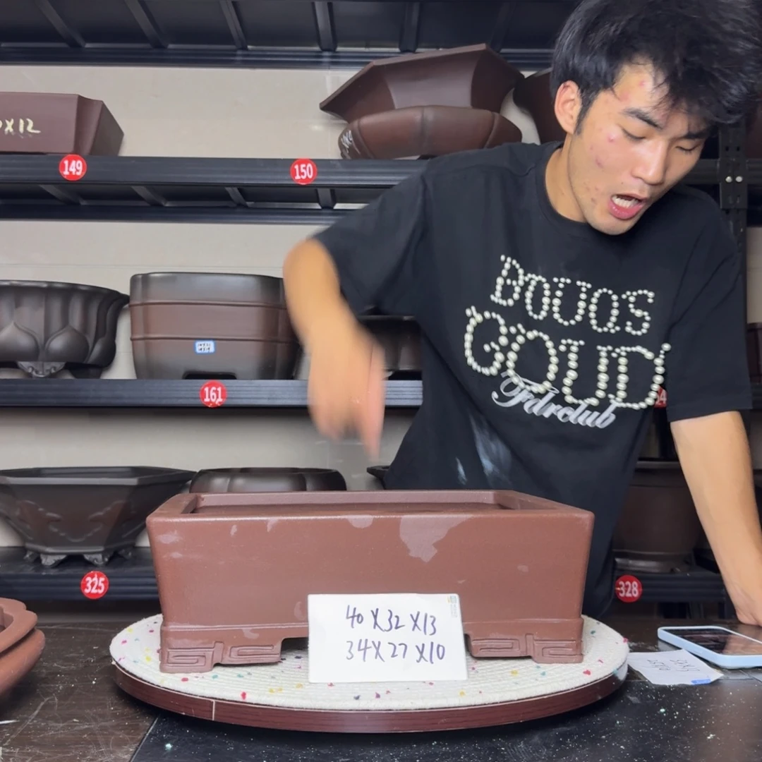 紫砂其他呜呜呜呜