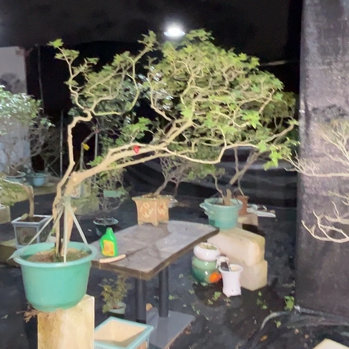 唐***林哈哈哈哈哈哈哈哈哈哈哈