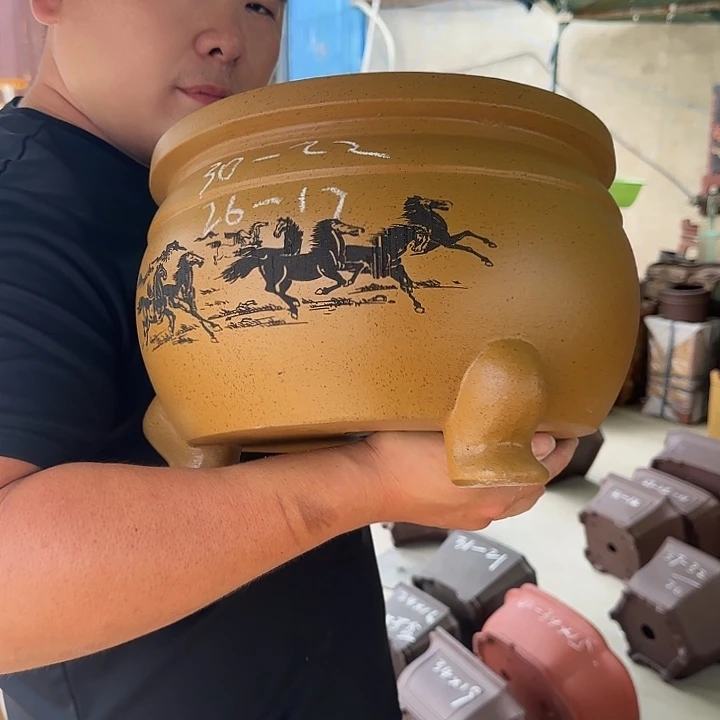 紫砂花盆这是我第一