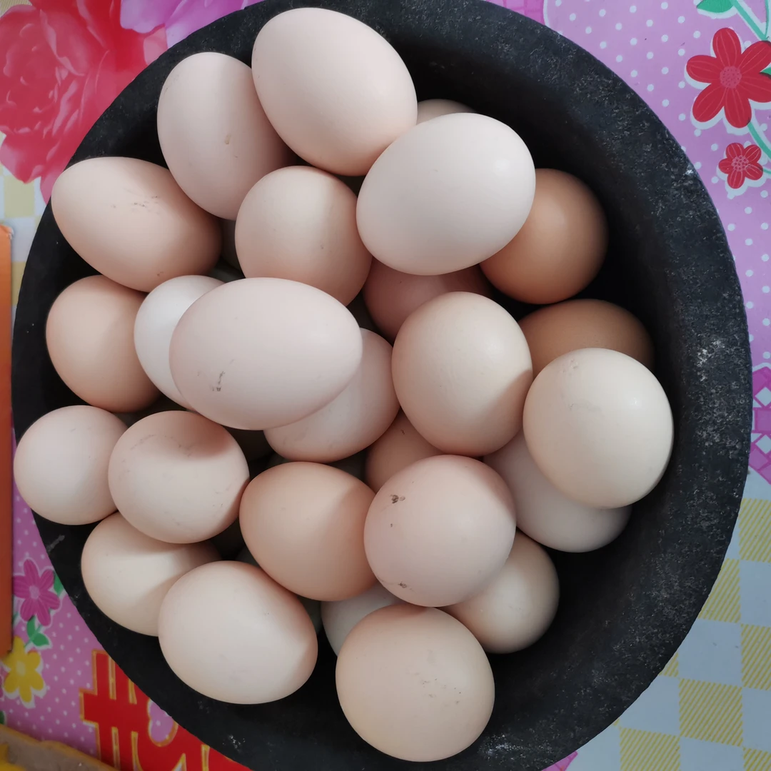 农村散养笨鸡蛋正宗柴鸡蛋农家散养土鸡蛋粉皮蛋50枚5斤左右