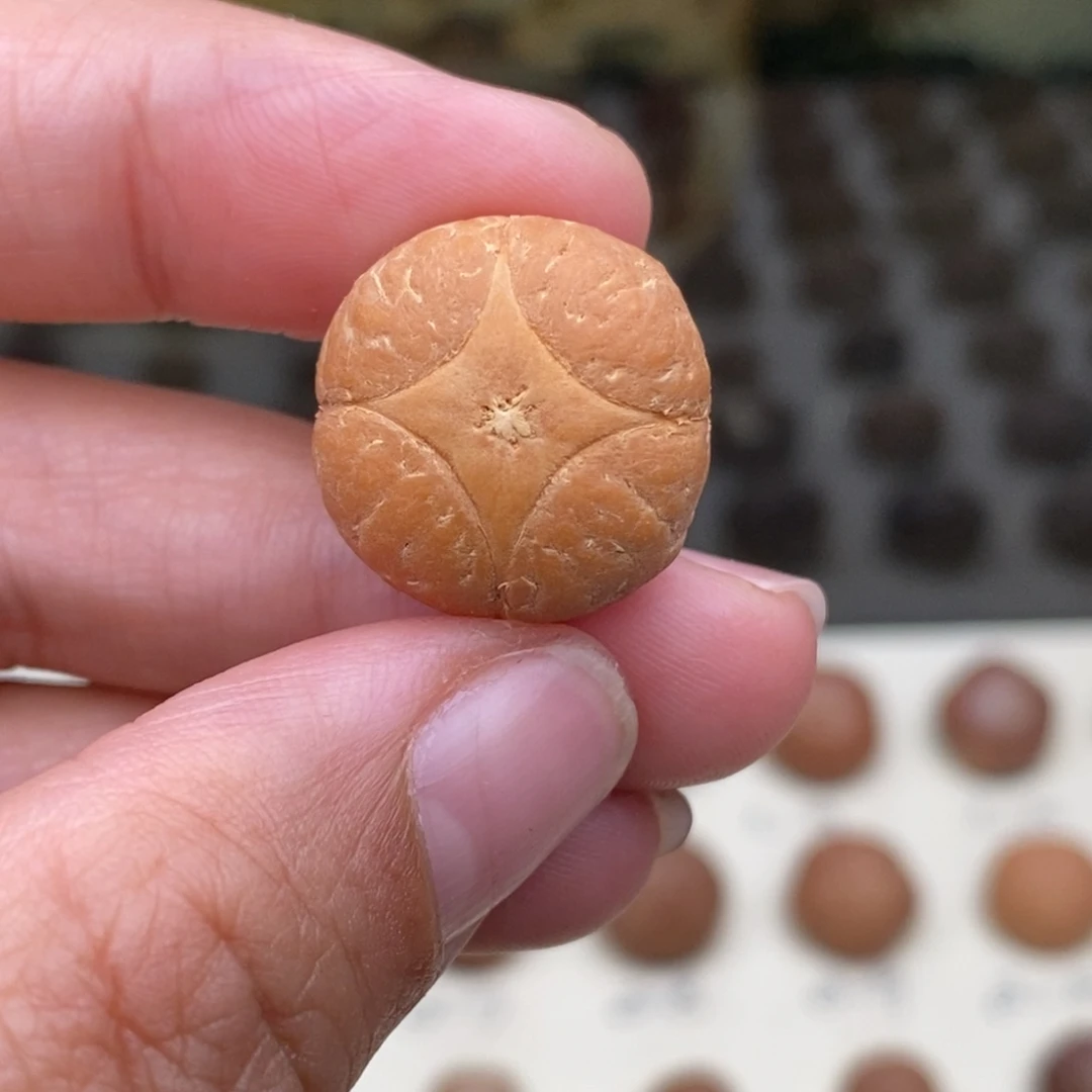 吊坠凤眼菩提麒麟